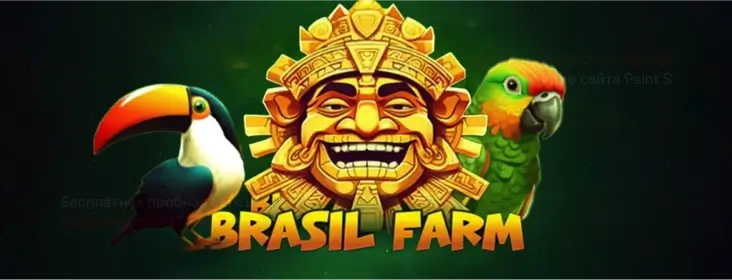 Brasil Farm